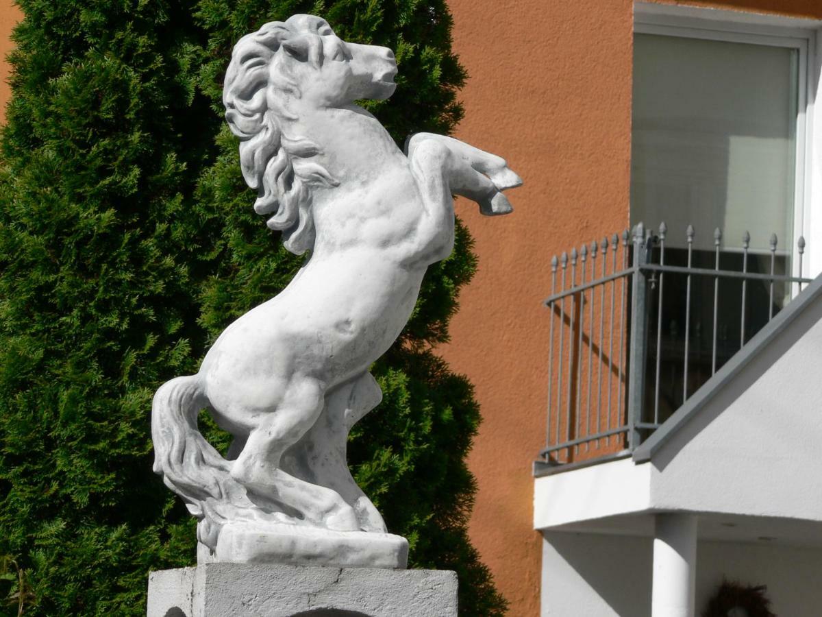 Gaestehaus Cheval Blanc Lorch am Rhein Buitenkant foto
