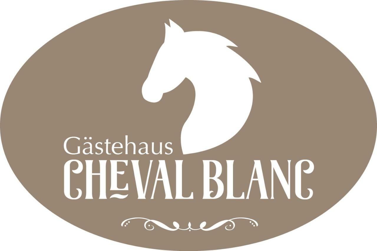 Gaestehaus Cheval Blanc Lorch am Rhein Buitenkant foto