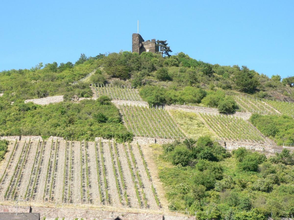 Gaestehaus Cheval Blanc Lorch am Rhein Buitenkant foto