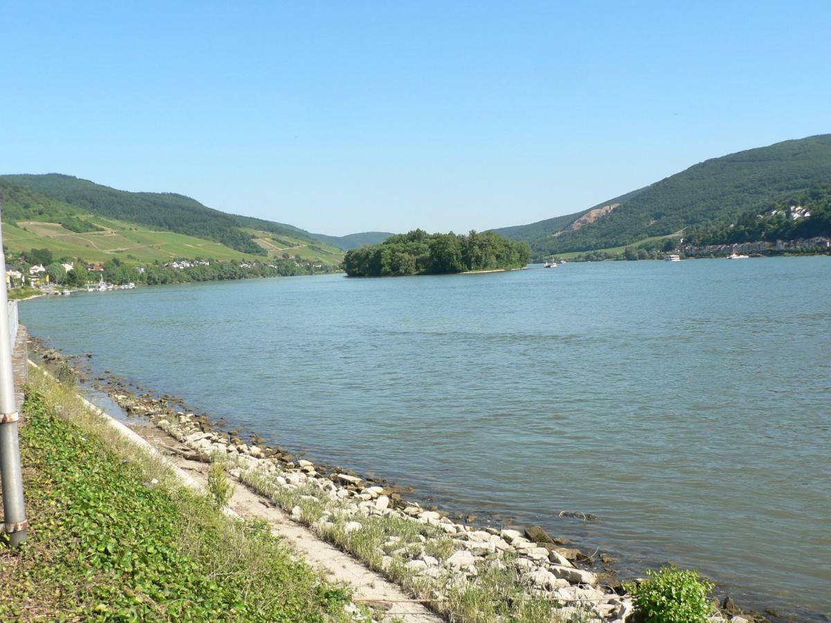 Gaestehaus Cheval Blanc Lorch am Rhein Buitenkant foto