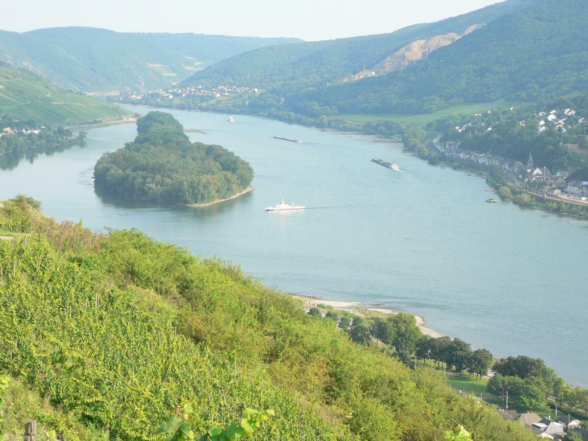 Gaestehaus Cheval Blanc Lorch am Rhein Buitenkant foto